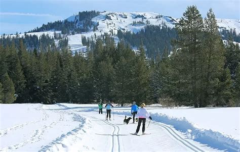 Royal gorge ski - BOOK ONLINE. Daily trail passes for Royal Gorge XC skiing, skate skiing and snowshoeing. 